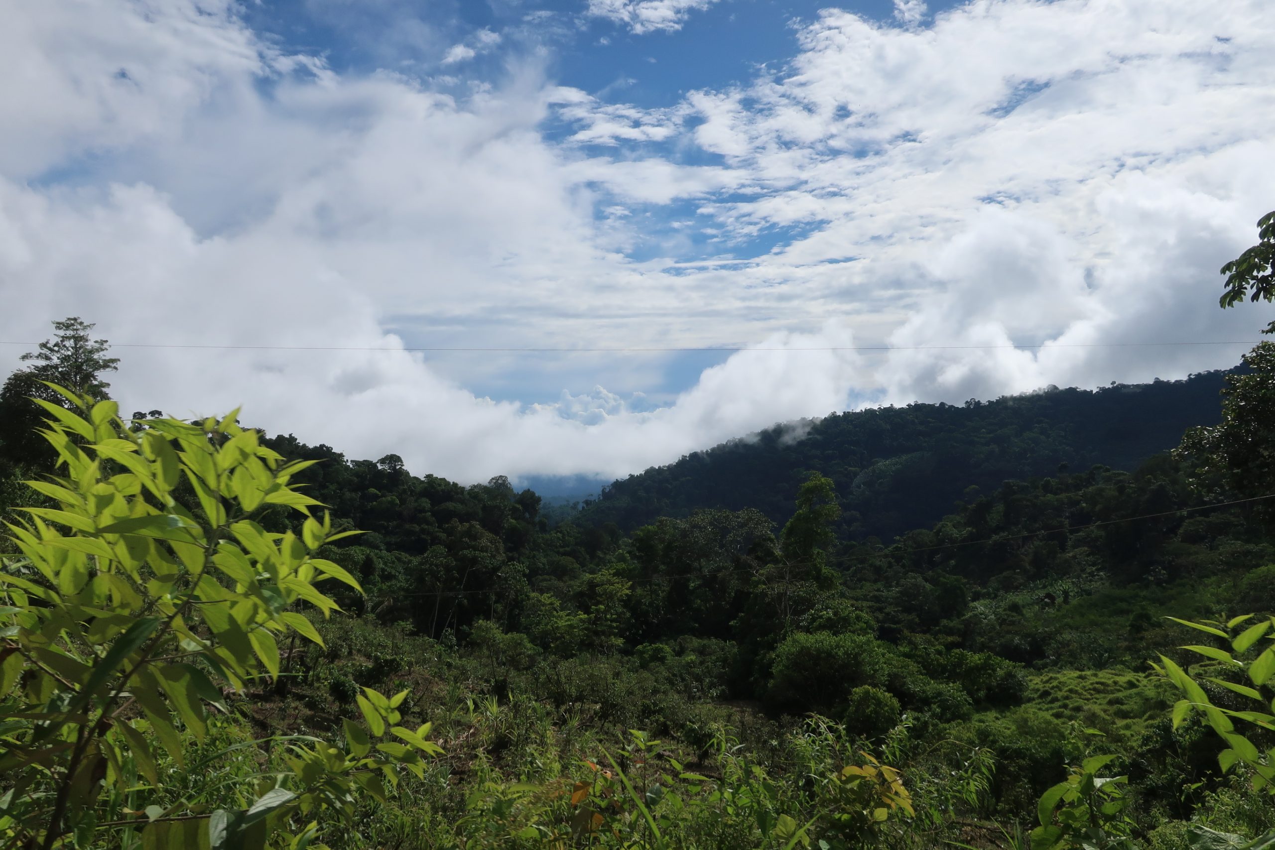 Mehr über den Artikel erfahren Vorbereitungsseminar Peru und Indien